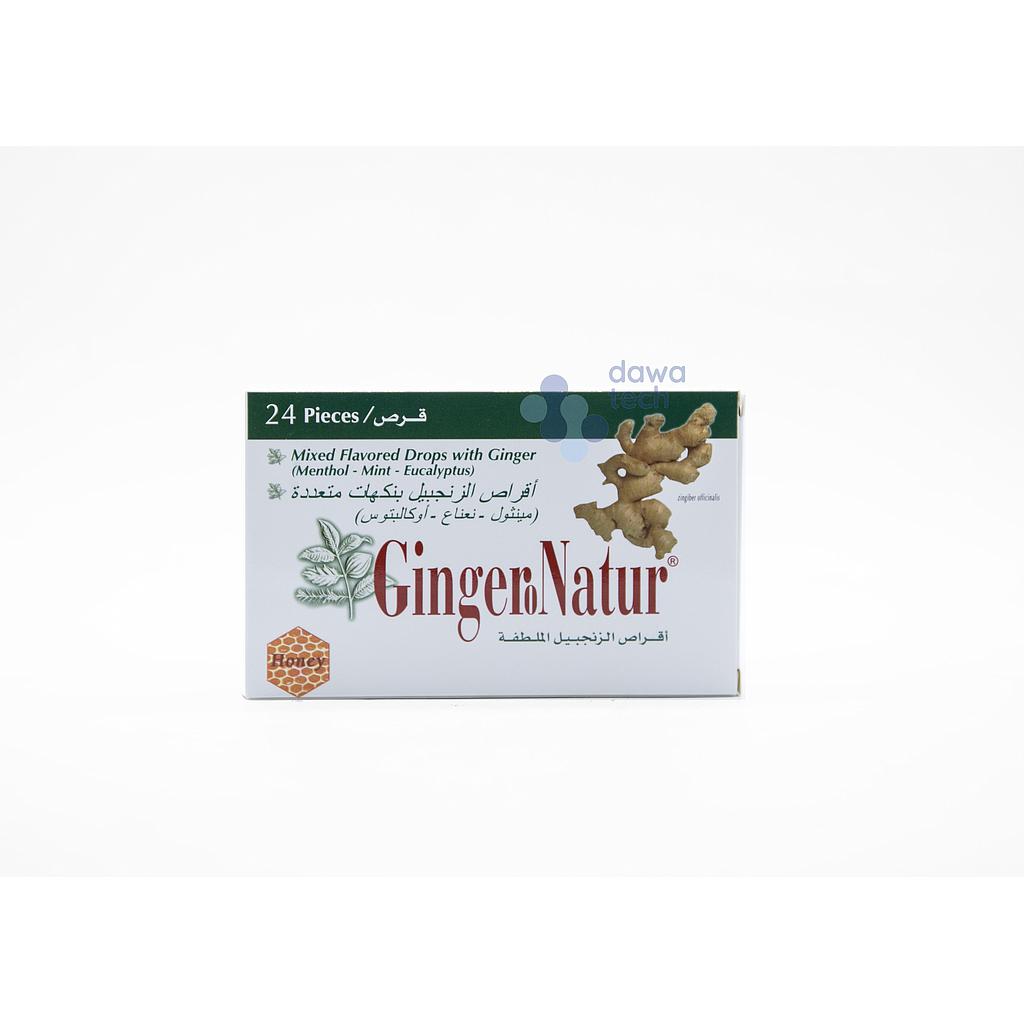 Ginger Nature Menthol 24Pcs